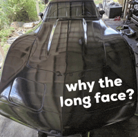 Chevy2103 why the long face GIF