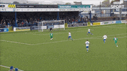 Goal Composure GIF by Cliftonville Football Club