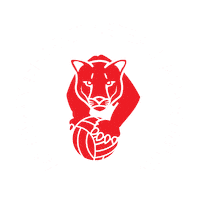 team panther Sticker