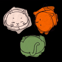 Cats Sleep GIF