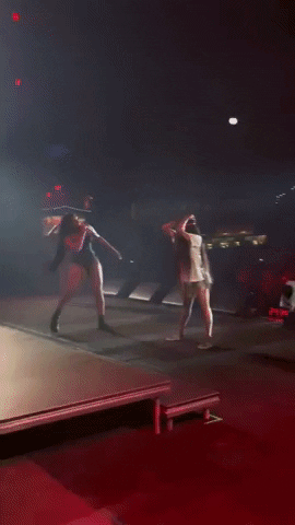Erykah Badu Megan Thee Stallion GIF by UPROXX