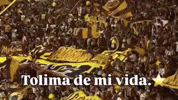 Vamos Deportes Tolima GIF