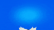 Oreo_br sorriso oreo brincante desafiooreo GIF