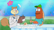season 9 GIF by SpongeBob SquarePants