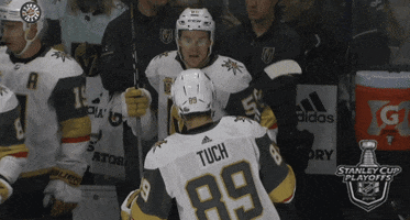 oh no ugh GIF by NHL