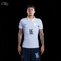 Fifa World Cup Uruguay GIF by Respective
