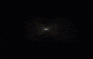 Dog Filter GIF