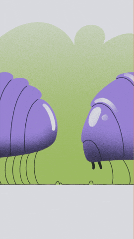 Boule Cloporte GIF