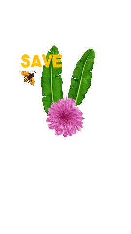 ANPWWF giphyupload savethebees diamundialdoambiente salve as abelhas Sticker