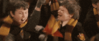 harry potter win GIF