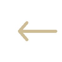 Gold Arrow Sticker by PurdueGlobal