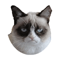 mad yolo STICKER by imoji