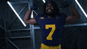 Go Blue GIF by Michigan Athletics