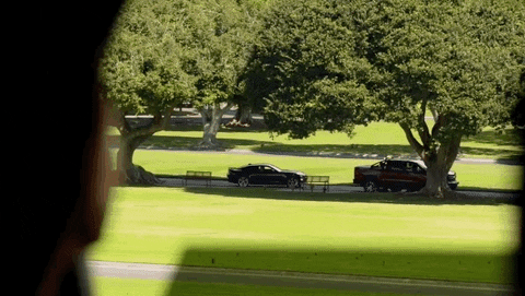 Steve Mcgarrett Tani Rey GIF by CBS