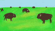 oklahoma GIF by Keb Mo