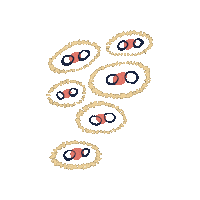 Hippalot Sticker by ARXHml