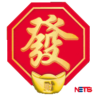 Lunar New Year Dragon Sticker by NETS