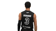 Sport Basketball Sticker by Basket_fi