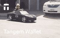 tangem_ crypto cold wallet coldwallet tangem GIF