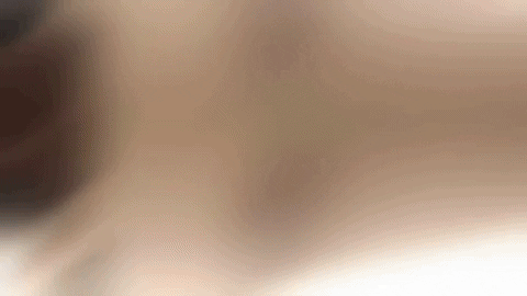 Dom GIF by New 11