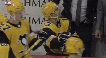 Ice Hockey GIF by NHL