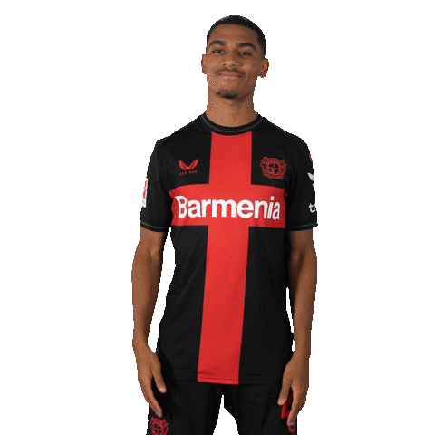 Bayer 04 Football Sticker by Bayer 04 Leverkusen