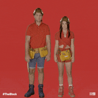 Channel 9 Dab GIF by The Block