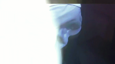 cirsis giphygifmaker GIF