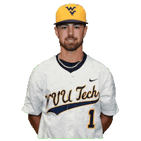 Baseball Cole Brown Sticker by WVU Tech Golden Bears