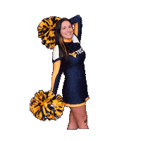 Cheer Cheerleader Sticker by WVU Tech Golden Bears