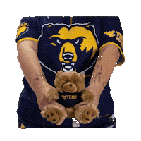 Lets Go Cheer Sticker by WVU Tech Golden Bears