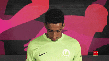 Vfl Wolfsburg Football GIF by Bundesliga