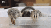 Whatcha doing GIF