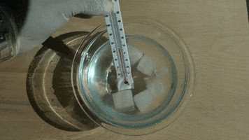 Back To School Education GIF by DIIMSA Stock