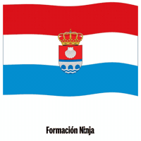 Flag Spain GIF by Formación Ninja