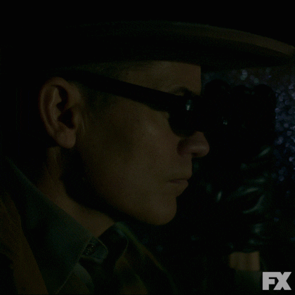 Sunglasses GIF by Fargo
