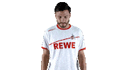 soccer bundesliga Sticker by 1. FC Köln