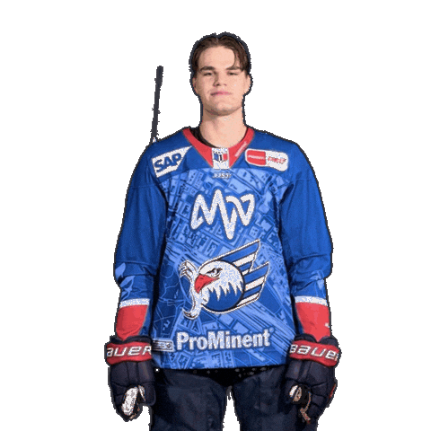 Max Heim Sticker by Adler Mannheim
