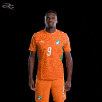 Fifa World Cup Elephants GIF by Respective