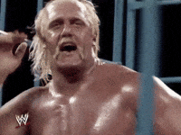 Hulk Hogan Sport GIF by WWE