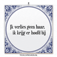 Humor Nl GIF by Tegelspreuken.nl