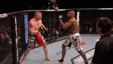 ufc giphygifmaker GIF
