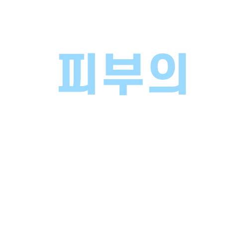 iope giphyupload 아이오페 스킨위크 iope Sticker