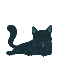 Black Cat Sticker by Bangers_and_Mash