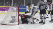 QCStorm storm quad city storm qcstorm qc storm GIF