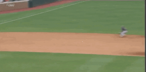 college baseball sport GIF by NCAA Championships