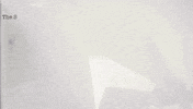 australia psychology GIF by PBS Digital Studios