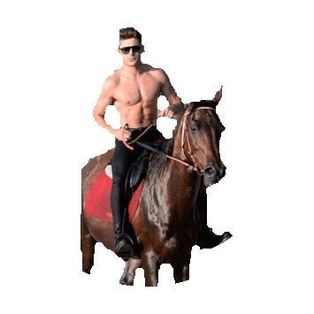 zac efron summer STICKER by imoji