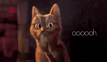 Cat Surprise GIF