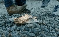 more GIF by SOJA